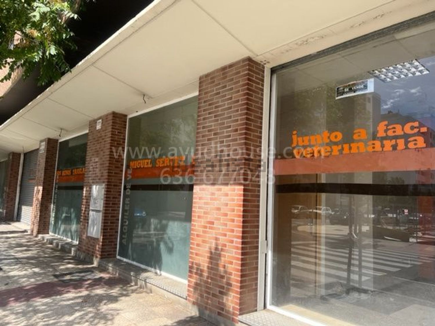 Fachada acristalada del local a pie de calle